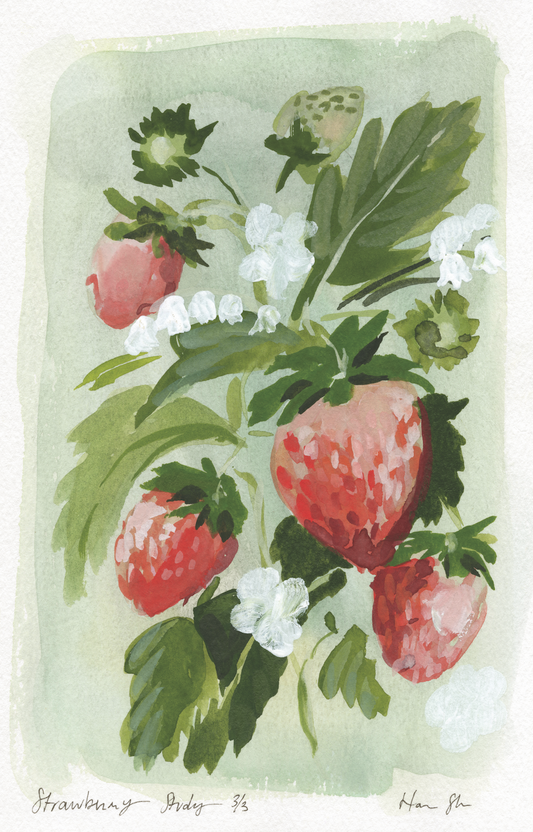 Strawberry Study 3/3 Print