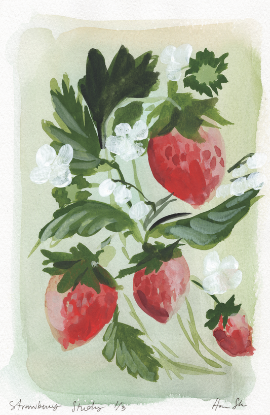 Strawberry Study 1/3 Print